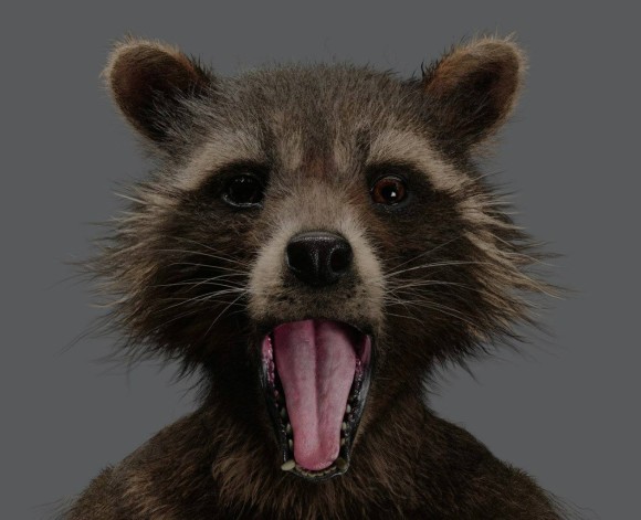 les-gardiens-de-la-galaxie-concept-art-funny-rocket-raccoon