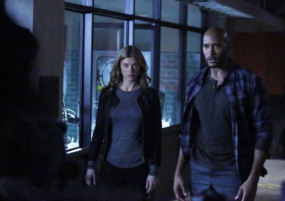 ADRIANNE PALICKI, HENRY SIMMONS