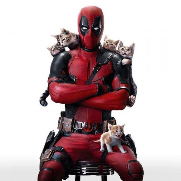 deadpool-cats-image