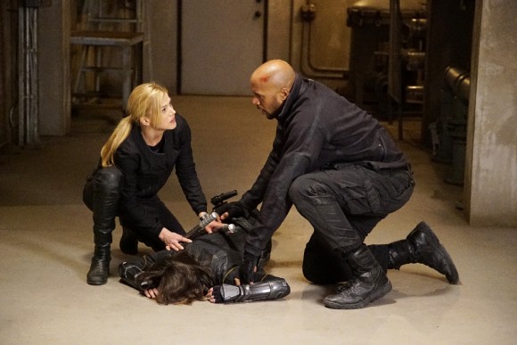 ADRIANNE PALICKI, HENRY SIMMONS