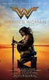chronologie-dceu-ordre-de-visionnage