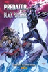 chronologie-comics-black-panther