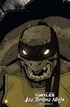 chronologie-comics-tortues-ninja